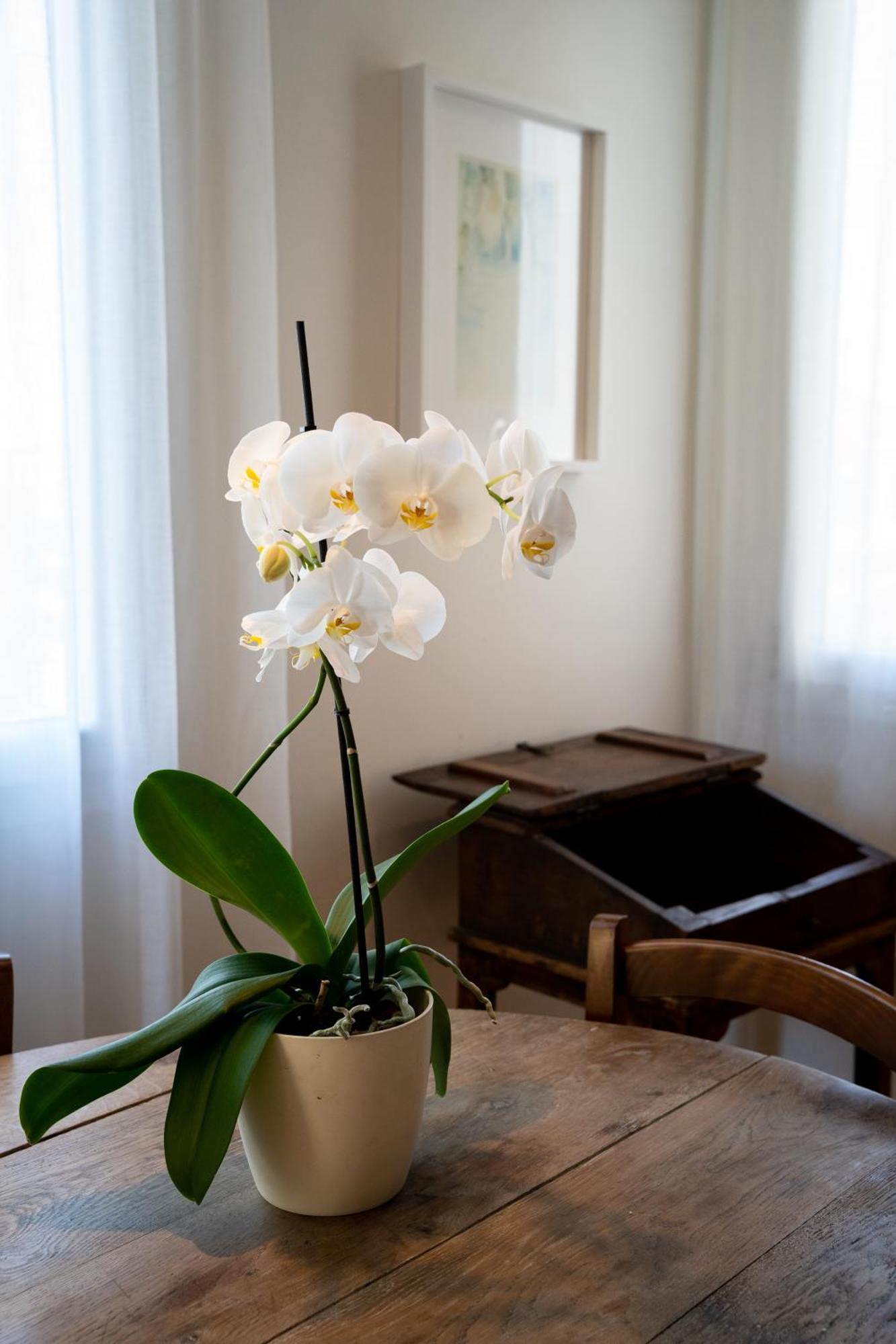 Aventino Boutique - Rome